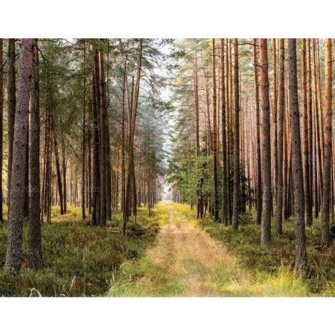 Kalendarz ścienny 13-planszowe 320mm x 470mm Lucrum (RW04) Kalendarz ścienny 13-planszowe 320mm x 470mm Lucrum (RW04)