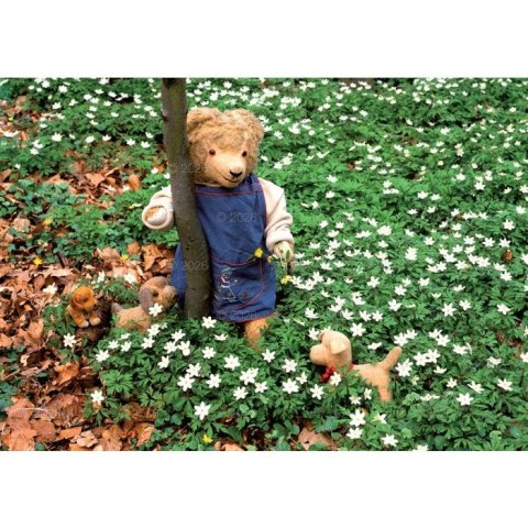 Kalendarz ścienny MISIE rodzinny 280mm x 200mm Lucrum (WL11) Kalendarz ścienny MISIE rodzinny 280mm x 200mm Lucrum (WL11)