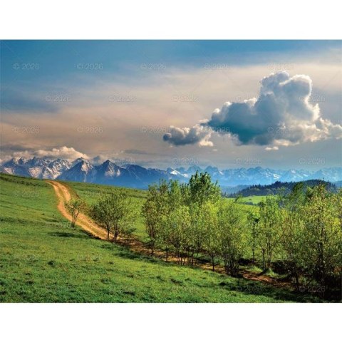 Kalendarz ścienny PEJZAŻE POLSKIE 13-planszowe 320mm x 470mm Lucrum (RW01) Kalendarz ścienny PEJZAŻE POLSKIE 13-planszowe 320mm x 470mm Lucrum (RW01)
