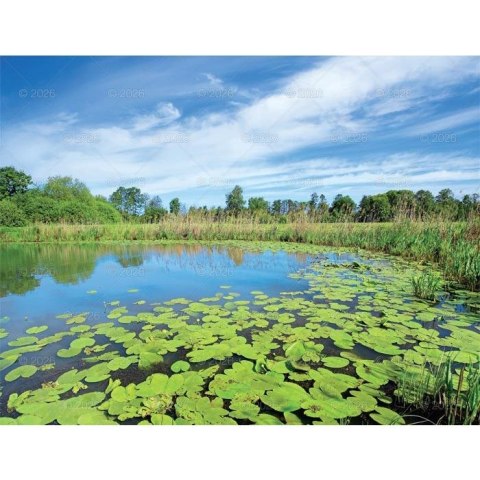 Kalendarz ścienny PEJZAŻE POLSKIE 13-planszowe 320mm x 470mm Lucrum (RW01) Kalendarz ścienny PEJZAŻE POLSKIE 13-planszowe 320mm x 470mm Lucrum (RW01)