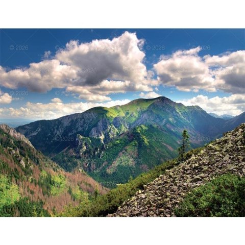 Kalendarz ścienny PEJZAŻE POLSKIE 13-planszowe 320mm x 470mm Lucrum (RW01) Kalendarz ścienny PEJZAŻE POLSKIE 13-planszowe 320mm x 470mm Lucrum (RW01)
