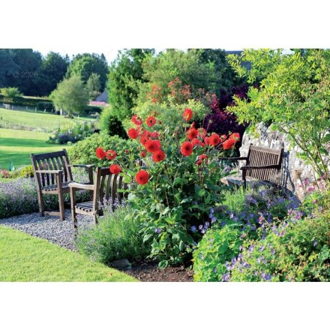 Kalendarz ścienny rodzinny 280mm x 200mm Lucrum (WL13) Kalendarz ścienny rodzinny 280mm x 200mm Lucrum (WL13)