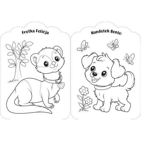 Książka dla dzieci Dla dziewczynek. Moje pupile.