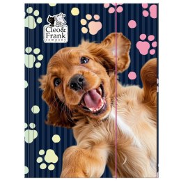 Teczka kartonowa na gumkę Cleo i Frank A4 mix Derform (5906601706097)