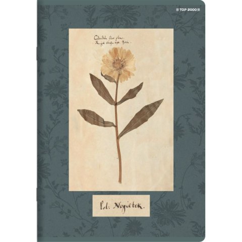Zeszyt FLOWERS A5 60k. 70g linia Top 2000 (400169420) Zeszyt FLOWERS A5 60k. 70g linia Top 2000 (400169420)