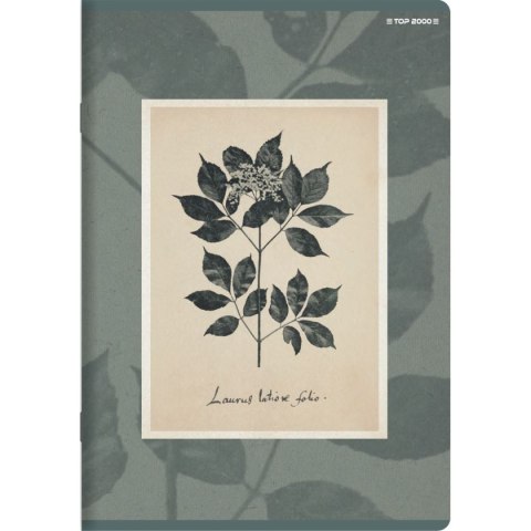 Zeszyt FLOWERS A5 60k. 70g linia Top 2000 (400169420) Zeszyt FLOWERS A5 60k. 70g linia Top 2000 (400169420)