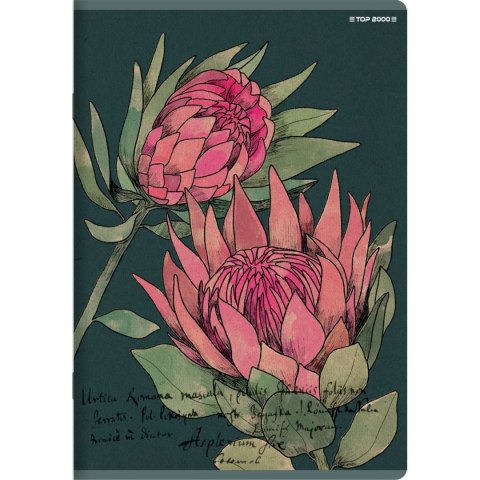 Zeszyt FLOWERS A5 60k. 70g linia Top 2000 (400169420) Zeszyt FLOWERS A5 60k. 70g linia Top 2000 (400169420)