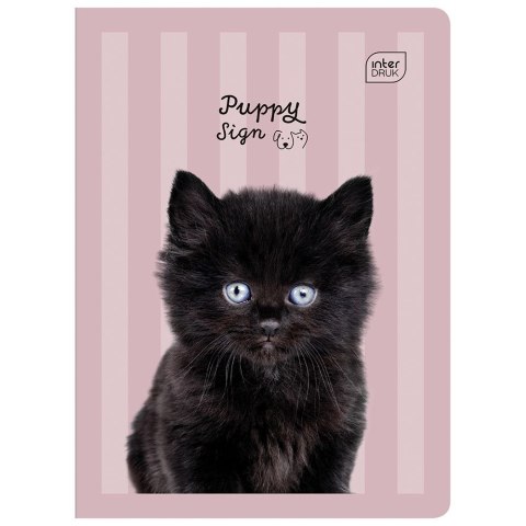 Zeszyt PUPPY SIGN A5 32k. 70g linia kolor Interdruk Zeszyt PUPPY SIGN A5 32k. 70g linia kolor Interdruk