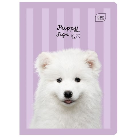 Zeszyt PUPPY SIGN A5 32k. 70g linia kolor Interdruk Zeszyt PUPPY SIGN A5 32k. 70g linia kolor Interdruk