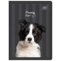 Zeszyt PUPPY SIGN A5 32k. 70g linia kolor Interdruk