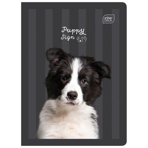 Zeszyt PUPPY SIGN A5 32k. 70g linia kolor Interdruk Zeszyt PUPPY SIGN A5 32k. 70g linia kolor Interdruk