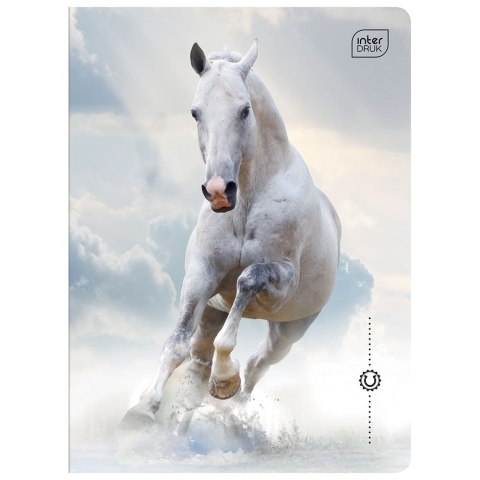 Zeszyt WILD HORSES A5 32k. 70g krata Interdruk Zeszyt WILD HORSES A5 32k. 70g krata Interdruk
