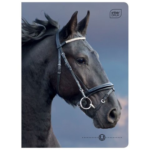 Zeszyt WILD HORSES A5 32k. 70g krata Interdruk Zeszyt WILD HORSES A5 32k. 70g krata Interdruk