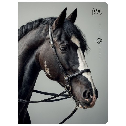 Zeszyt WILD HORSES A5 32k. 70g krata Interdruk Zeszyt WILD HORSES A5 32k. 70g krata Interdruk
