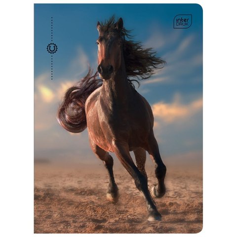 Zeszyt WILD HORSES A5 32k. 70g krata Interdruk Zeszyt WILD HORSES A5 32k. 70g krata Interdruk