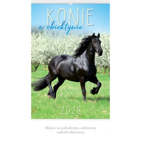 Kalendarz ścienny 13-planszowe 320mm x 470mm Lucrum (RW14) Kalendarz ścienny 13-planszowe 320mm x 470mm Lucrum (RW14)