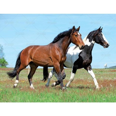 Kalendarz ścienny 13-planszowe 320mm x 470mm Lucrum (RW14) Kalendarz ścienny 13-planszowe 320mm x 470mm Lucrum (RW14)