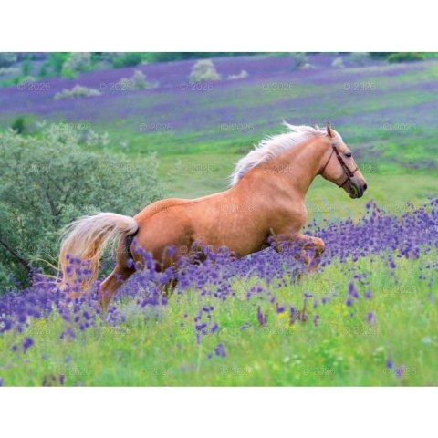 Kalendarz ścienny 13-planszowe 320mm x 470mm Lucrum (RW14) Kalendarz ścienny 13-planszowe 320mm x 470mm Lucrum (RW14)