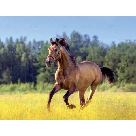 Kalendarz ścienny 13-planszowe 320mm x 470mm Lucrum (RW14) Kalendarz ścienny 13-planszowe 320mm x 470mm Lucrum (RW14)