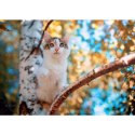 Kalendarz ścienny koty i kotki rodzinny 280mm x 200mm Lucrum (WL09)
