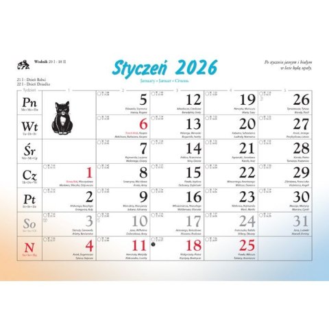 Kalendarz ścienny koty i kotki rodzinny 280mm x 200mm Lucrum (WL09) Kalendarz ścienny koty i kotki rodzinny 280mm x 200mm Lucrum (WL09)