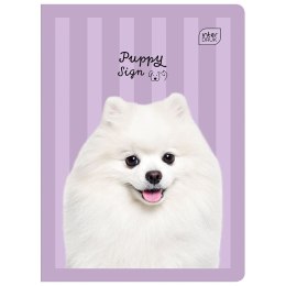 Zeszyt A5 16k. 70g krata Interdruk