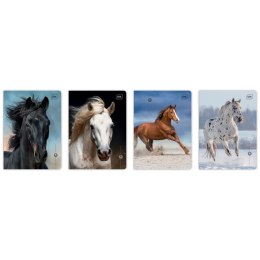 Zeszyt WILD HORSES A5 16k. 70g linia kolor Interdruk