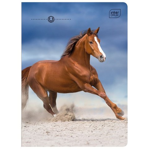 Zeszyt WILD HORSES A5 16k. 70g linia kolor Interdruk Zeszyt WILD HORSES A5 16k. 70g linia kolor Interdruk