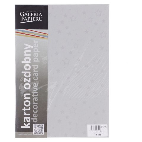 Papier ozdobny (wizytówkowy) Galeria Papieru stars srebrny A4 srebrny 220g (204305) Papier ozdobny (wizytówkowy) Galeria Papieru stars srebrny A4 srebrny 220g (204305)