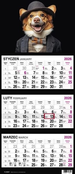 Kalendarz ścienny PIES 310mm x 790mm Press