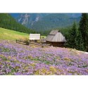 Kalendarz ścienny Tatry i Podhale rodzinny 2023 280mm x 200mm Lucrum (WL04)