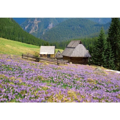 Kalendarz ścienny Tatry i Podhale rodzinny 2023 280mm x 200mm Lucrum (WL04) Kalendarz ścienny Tatry i Podhale rodzinny 2023 280mm x 200mm Lucrum (WL04)