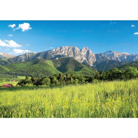 Kalendarz ścienny Tatry i Podhale rodzinny 2023 280mm x 200mm Lucrum (WL04) Kalendarz ścienny Tatry i Podhale rodzinny 2023 280mm x 200mm Lucrum (WL04)
