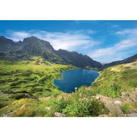 Kalendarz ścienny Tatry i Podhale rodzinny 2023 280mm x 200mm Lucrum (WL04) Kalendarz ścienny Tatry i Podhale rodzinny 2023 280mm x 200mm Lucrum (WL04)