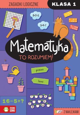 Książeczka edukacyjna Matematyka. To rozumiem! Klasa 1 Zielona Sowa