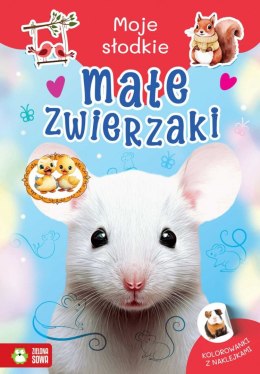 Książeczka edukacyjna Moje słodkie zwierzaki. Małe zwierzaki Zielona Sowa