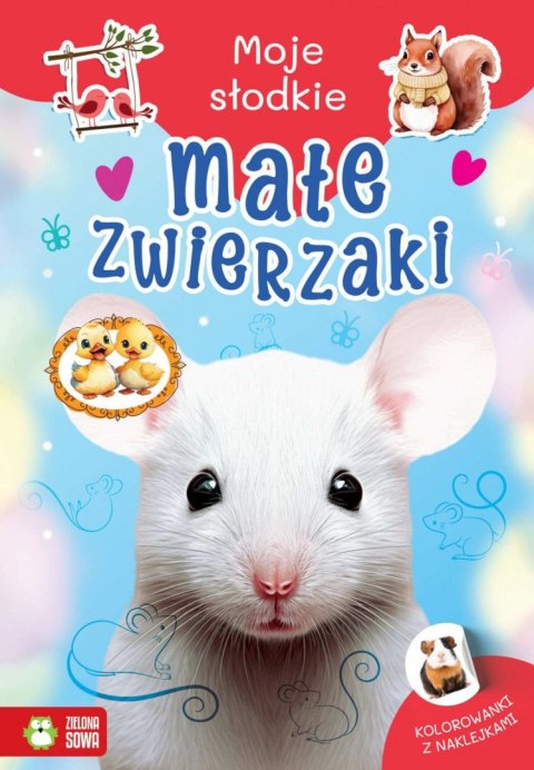 Książeczka edukacyjna Moje słodkie zwierzaki. Małe zwierzaki Zielona Sowa Książeczka edukacyjna Moje słodkie zwierzaki. Małe zwierzaki Zielona Sowa