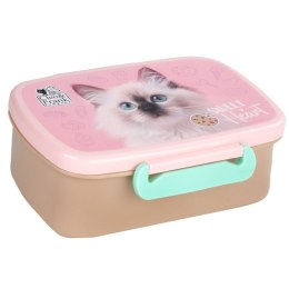 Śniadaniówka Derform (SACF45)