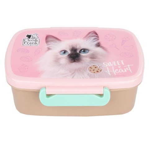 Śniadaniówka Derform (SACF45)