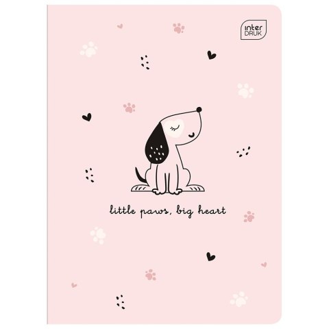 Zeszyt A5 16k. 70g linia kolor Interdruk