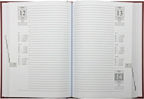 Kalendarz książkowy (terminarz) Asystent terminarz A5 Michalczyk i Prokop (T-237C-V) Kalendarz książkowy (terminarz) Asystent terminarz A5 Michalczyk i Prokop (T-237C-V)