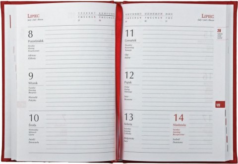 Kalendarz książkowy (terminarz) Marta terminarz A6 105mm x 148mm Michalczyk i Prokop (T-215F)