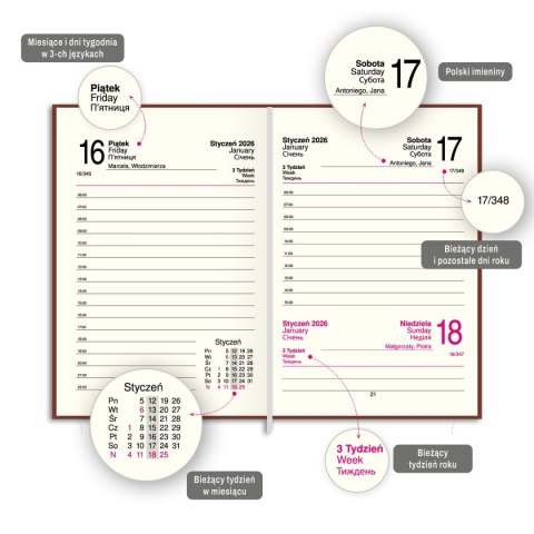 Kalendarz książkowy (terminarz) FIGARO A6 Press (DZIENNY) Kalendarz książkowy (terminarz) FIGARO A6 Press (DZIENNY)