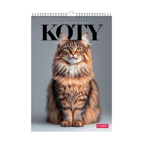 Kalendarz ścienny 16 stron wieloplanszowy A3 Press (KOTY) Kalendarz ścienny 16 stron wieloplanszowy A3 Press (KOTY)