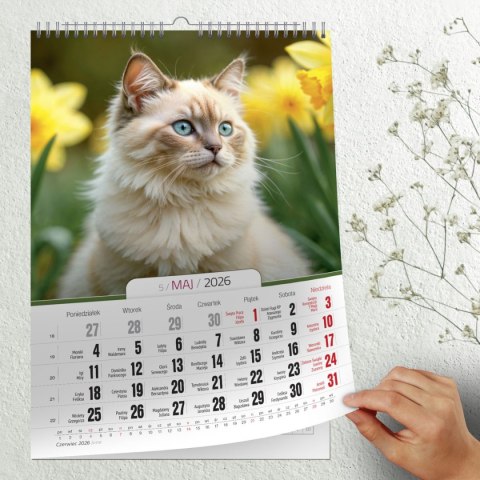 Kalendarz ścienny 16 stron wieloplanszowy A3 Press (KOTY) Kalendarz ścienny 16 stron wieloplanszowy A3 Press (KOTY)