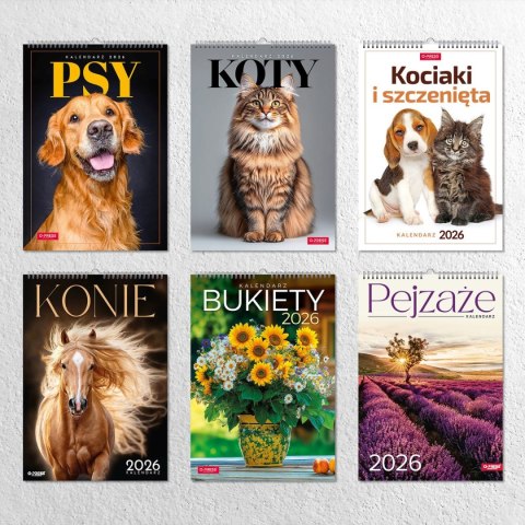 Kalendarz ścienny 16 stron wieloplanszowy A3 Press (KOTY) Kalendarz ścienny 16 stron wieloplanszowy A3 Press (KOTY)