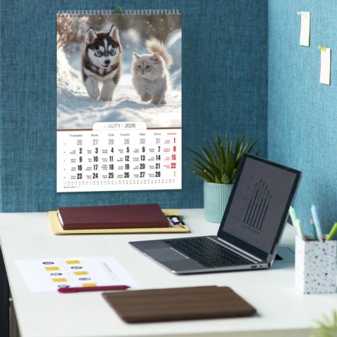 Kalendarz ścienny 16 stron wieloplanszowy A3 Press (kociaki i szczeniaki) Kalendarz ścienny 16 stron wieloplanszowy A3 Press (kociaki i szczeniaki)