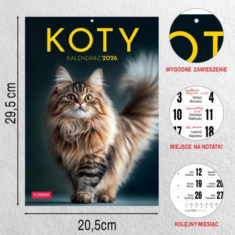 Kalendarz ścienny A4 KOTY A4 Press (5904830713381) Kalendarz ścienny A4 KOTY A4 Press (5904830713381)