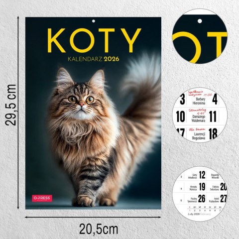 Kalendarz ścienny A4 KOTY A4 Press (5904830713381) Kalendarz ścienny A4 KOTY A4 Press (5904830713381)