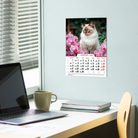 Kalendarz ścienny A4 KOTY A4 Press (5904830713381) Kalendarz ścienny A4 KOTY A4 Press (5904830713381)